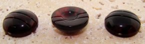 20mm. TORTOISE GROVED TOP ROUND CABOCHONS - Lots of 36